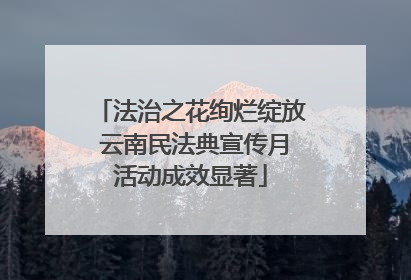 法治之花绚烂绽放 云南民法典宣传月活动成效显著