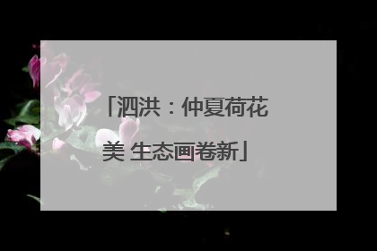 泗洪：仲夏荷花美 生态画卷新