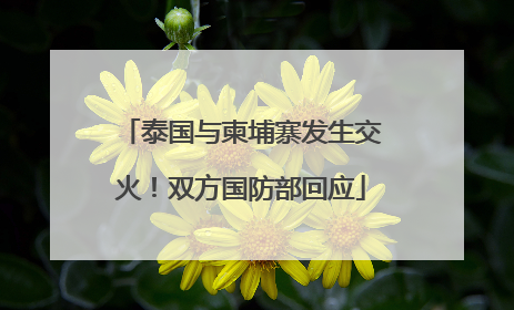 泰国与柬埔寨发生交火！双方国防部回应