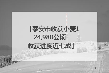 泰安市收获小麦124,980公顷 收获进度近七成