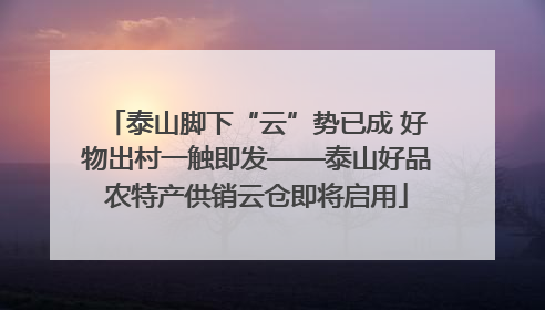 泰山脚下“云”势已成 好物出村一触即发——泰山好品农特产供销云仓即将启用