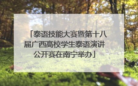 泰语技能大赛暨第十八届广西高校学生泰语演讲公开赛在南宁举办