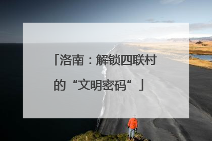 洛南：解锁四联村的“文明密码”