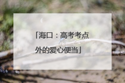 海口：高考考点外的爱心便当