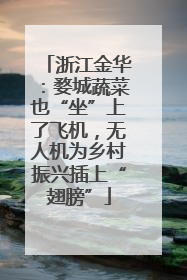 浙江金华：婺城蔬菜也“坐”上了飞机，无人机为乡村振兴插上“翅膀”