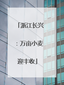 浙江长兴：万亩小麦迎丰收