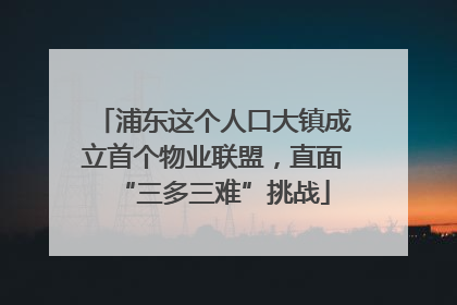 浦东这个人口大镇成立首个物业联盟，直面“三多三难”挑战
