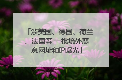 涉美国、德国、荷兰、法国等 一批境外恶意网址和IP曝光