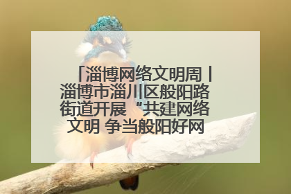 淄博网络文明周丨淄博市淄川区般阳路街道开展“共建网络文明 争当般阳好网民”主题宣讲活动
