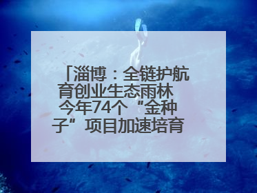 淄博：全链护航育创业生态雨林 今年74个“金种子”项目加速培育 政策性扶持创业9754人