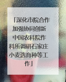 深化市院合作 加强协同创新 中国农科院作科所调研石家庄小麦选育种等工作