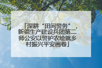 深耕“田间警务”，新疆生产建设兵团第二师公安以警护农绘就乡村振兴平安画卷