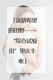 深耕希望的田野——“综合试验田”里庆丰收