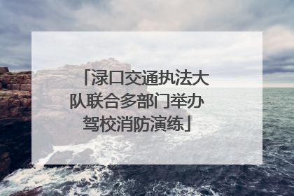 渌口交通执法大队联合多部门举办驾校消防演练