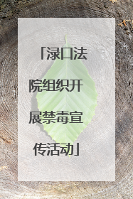渌口法院组织开展禁毒宣传活动