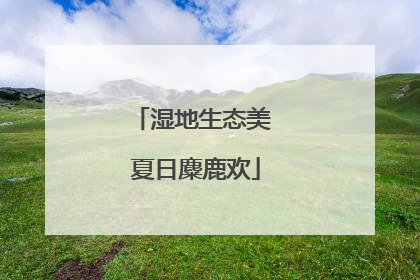 湿地生态美 夏日麋鹿欢