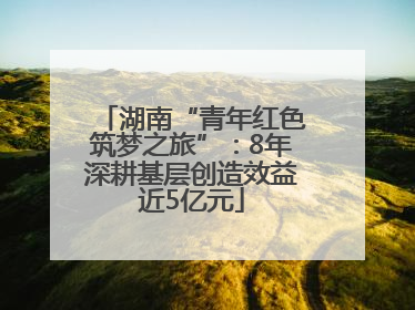 湖南“青年红色筑梦之旅”：8年深耕基层创造效益近5亿元