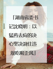 湖南省委书记沈晓明：以猛药去疴的决心坚决刹住违规吃喝歪风