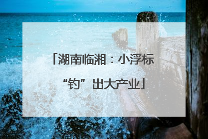湖南临湘：小浮标“钓”出大产业