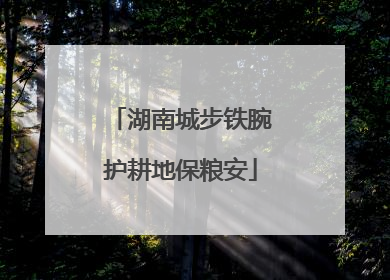湖南城步铁腕护耕地保粮安