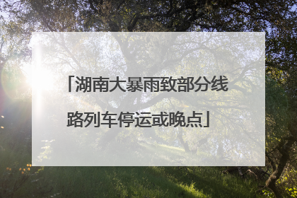 湖南大暴雨致部分线路列车停运或晚点