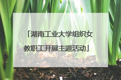 湖南工业大学组织女教职工开展主题活动