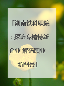 湖南铁科职院：探访专精特新企业 解码职业新图景