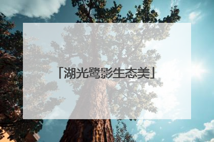 湖光鹭影生态美