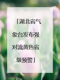 湖北省气象台发布强对流黄色省级预警
