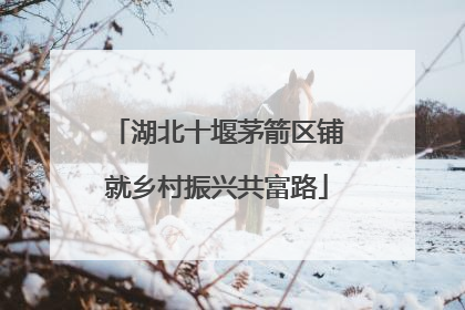 湖北十堰茅箭区铺就乡村振兴共富路