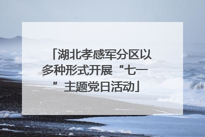 湖北孝感军分区以多种形式开展“七一”主题党日活动