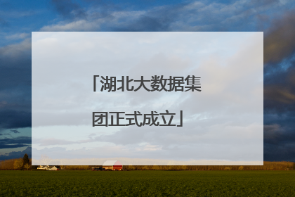 湖北大数据集团正式成立