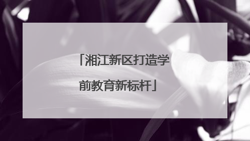 湘江新区打造学前教育新标杆