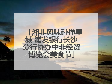 湘非风味碰撞星城 浦发银行长沙分行协办中非经贸博览会美食节
