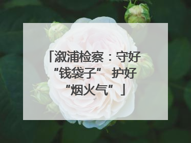 溆浦检察：守好“钱袋子” 护好“烟火气”