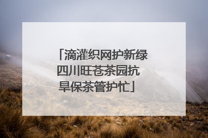 滴灌织网护新绿 四川旺苍茶园抗旱保茶管护忙