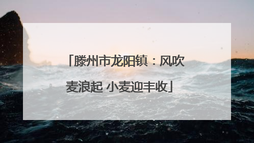 滕州市龙阳镇：风吹麦浪起 小麦迎丰收