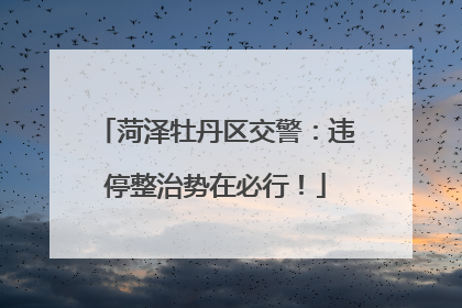 菏泽牡丹区交警：违停整治势在必行！