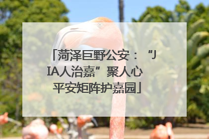 菏泽巨野公安：“JIA人治嘉”聚人心 平安矩阵护嘉园