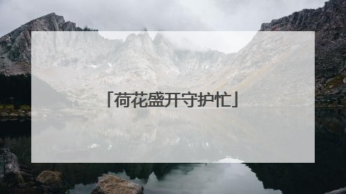 荷花盛开守护忙