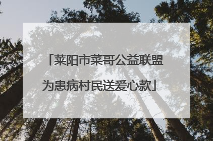 莱阳市菜哥公益联盟为患病村民送爱心款