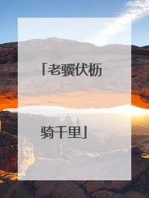 老骥伏枥骑千里
