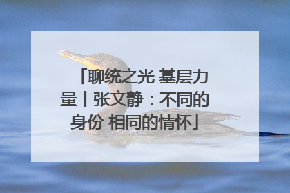 聊统之光 基层力量丨张文静：不同的身份 相同的情怀