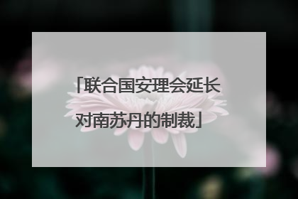 联合国安理会延长对南苏丹的制裁