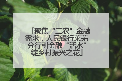 聚焦“三农”金融需求，人民银行莱芜分行引金融“活水”绽乡村振兴之花