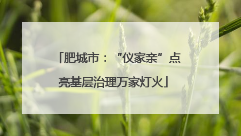 肥城市：“仪家亲”点亮基层治理万家灯火