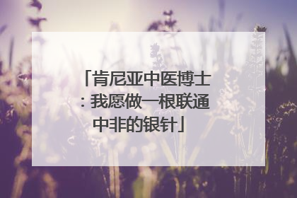 肯尼亚中医博士：我愿做一根联通中非的银针