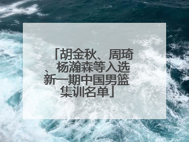 胡金秋、周琦、杨瀚森等入选新一期中国男篮集训名单