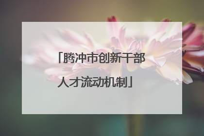 腾冲市创新干部人才流动机制