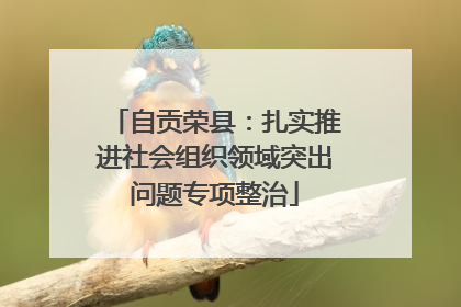 自贡荣县：扎实推进社会组织领域突出问题专项整治